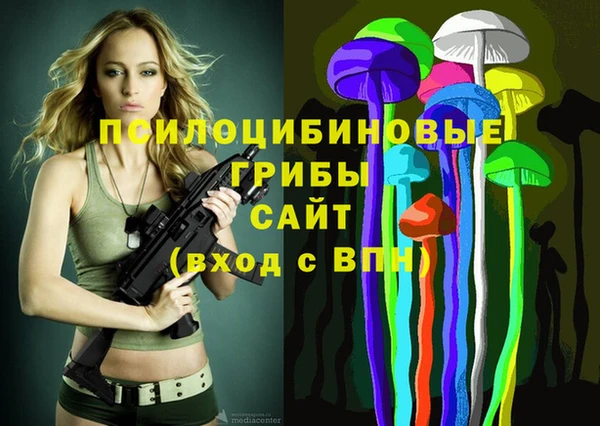герыч Зерноград